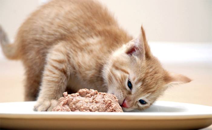 �������� ����������� ������� ��� �������� ��������