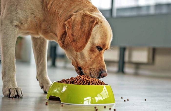 ���-5 ������ ��� ��������� ����� � ���������� �����������