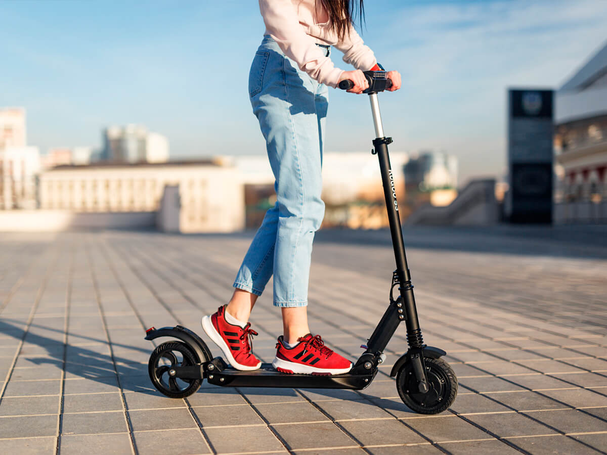 ������ �������� ���������